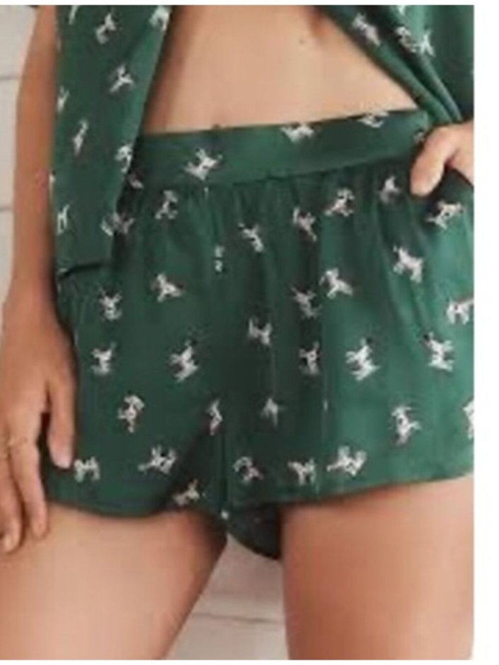 Anthropologie Green Pajama Shorts size Small AOP Dog Print bottoms pockets Silky